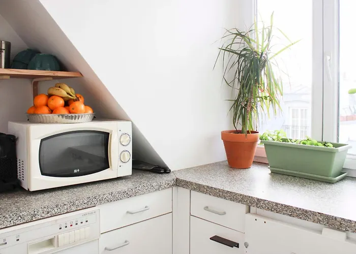 Bright Parisian Escape With Breathtaking Views Daire *